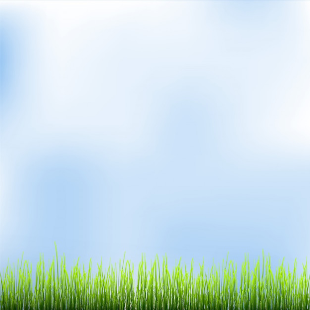 Groen gras en een blauwe lucht