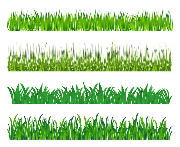 Vector groen gras en veld elementen geïsoleerd op een witte achtergrond