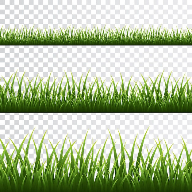 Groen gras grens ingesteld op transparante achtergrond.