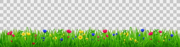 Vector groen gras met bloemen zomer- of lenteweide vectorrand van bloemengazon of veld met planten