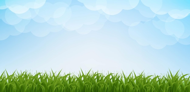 Groen gras met wolken op de achtergrond.