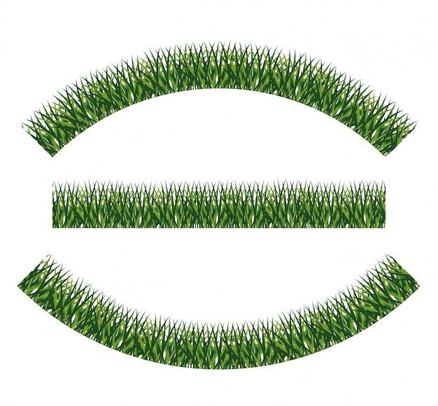 Groen gras pictogram