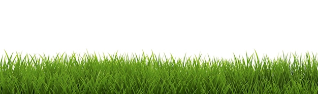 Groen gras rand geïsoleerde witte achtergrond