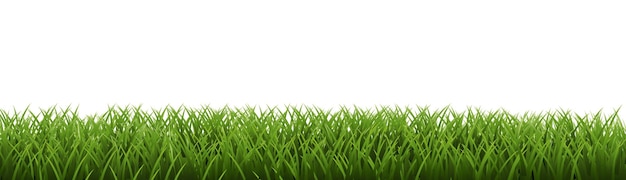 Groen gras rand geïsoleerde witte achtergrond