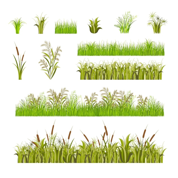 Groen gras set Decor elementen geïsoleerd op een witte achtergrond Natuurlijke grens Vector illustratie van vers gebladerte