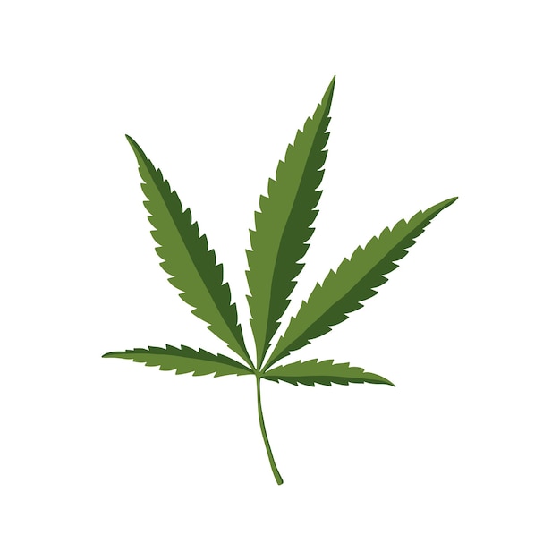 Groen hennepblad. Cannabis vector pictogram. Geïsoleerde vectorillustratie.