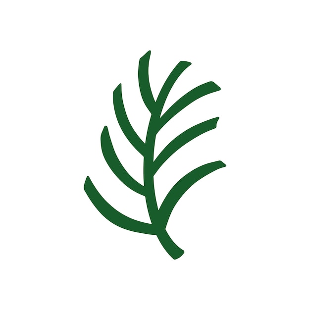 Groen palmblad Tropisch blad op een witte achtergrond
