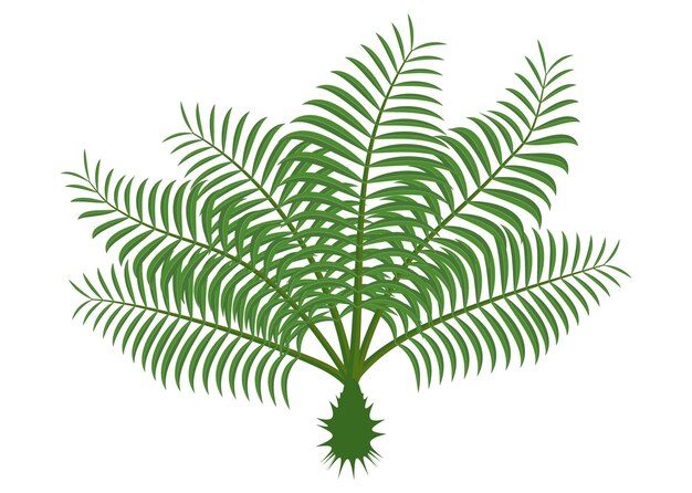 Vector groen palmbomen vector tropisch palmblaad icoon beeld vector illustratie ontwerp zwart en wit