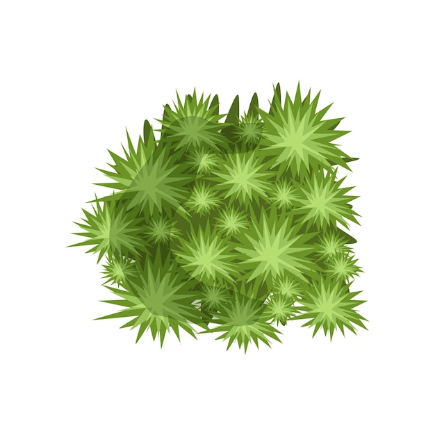 Vector groen plant landschap natuurlijk ontwerp element top view vector illustratie geïsoleerd op een witte achtergrond