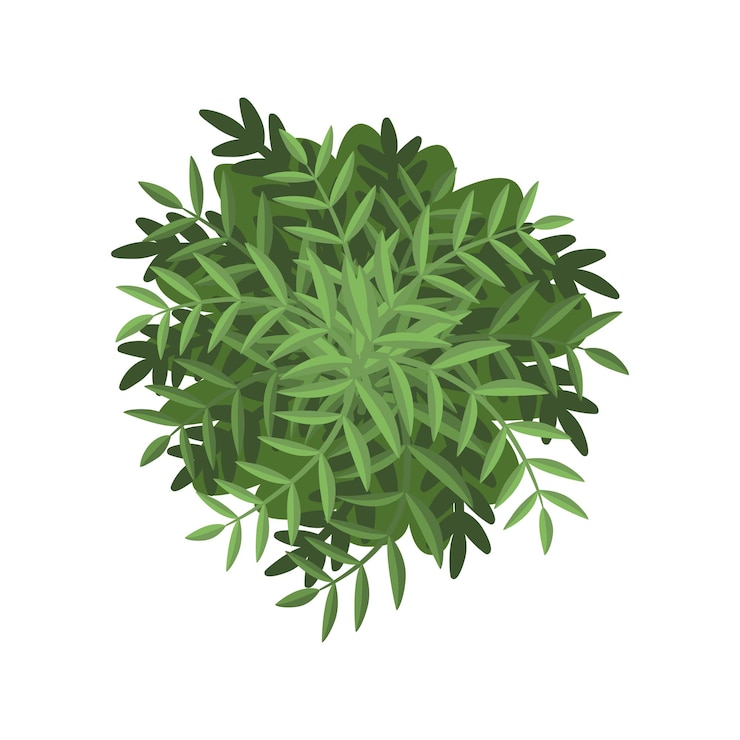 Vector groen struik landschap ontwerp element top view vector illustratie geïsoleerd op een witte achtergrond