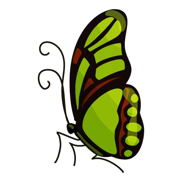 Groen vlinder icoon Cartoon illustratie van groene vlinder vector icoon voor het web