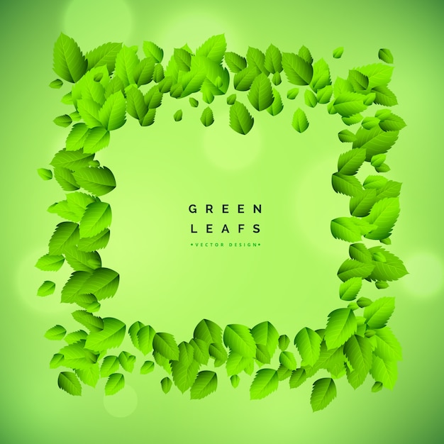 Groene achtergrond met blad frame vector