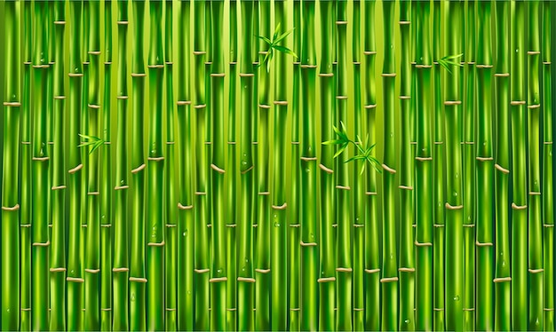Vector groene bamboe hek, textuur achtergrond, bamboe panora