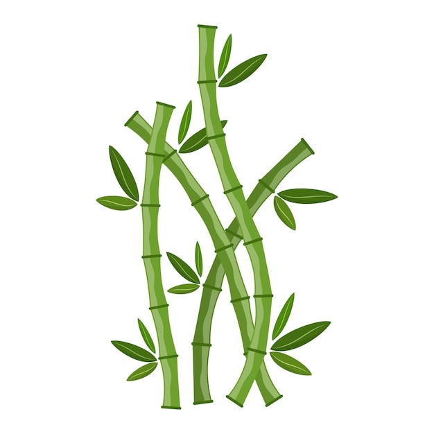 Groene bamboe takken en bladeren. Vector illustratie. Bamboe stengels. Bamboe pictogram.