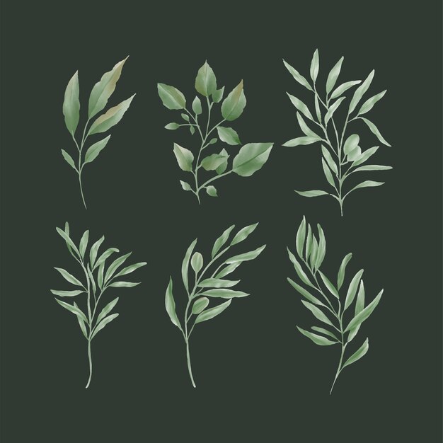 Vector groene blad en plant aquarel stijl collectie