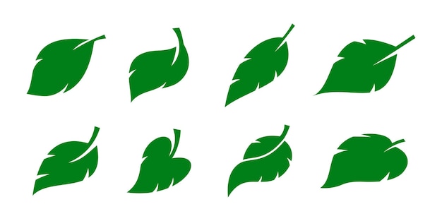 Vector groene blad icon set groene kleur bladeren op witte achtergrond