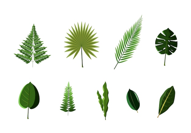 Groene blad instellen vectorillustratie