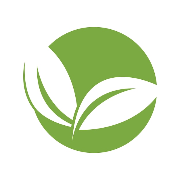 groene blad logo vector