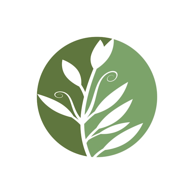 Groene bladeren Botanische logo vector en symbool ontwerp