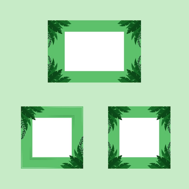 Groene bladeren ontwerp frames vector illustratie