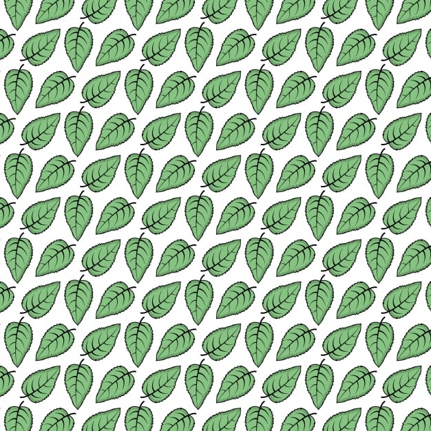 Vector groene bladeren patroon ontwerp