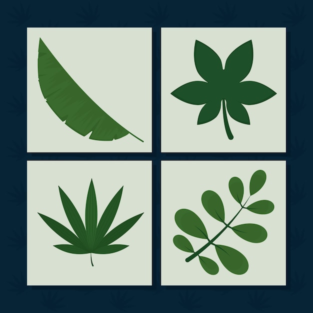 Groene bladeren pictogram decorontwerp