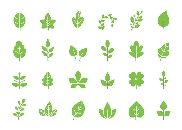 Groene bladeren pictogram Eco blad organische groei en spruit vector symbolen set