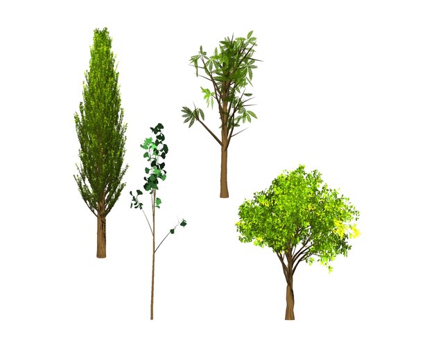 Groene bomen vectorpakket set Illustratie