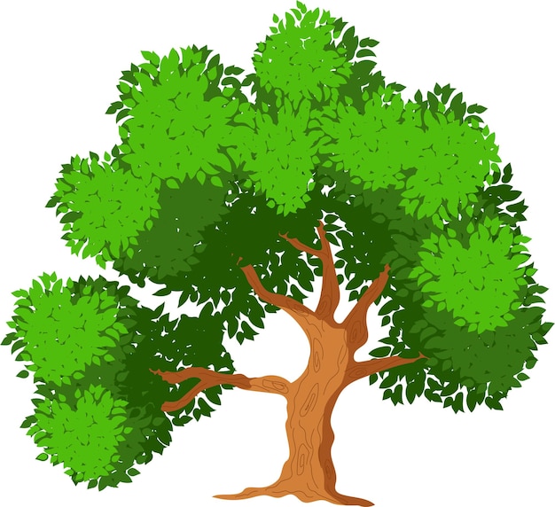 Vector groene boom vector gratis