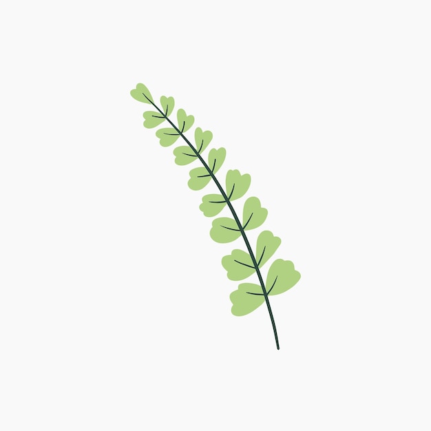 Groene botanische bladeren illustratie