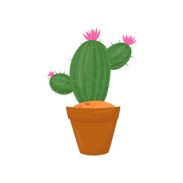 Groene cactus in bruine pot plant met kleine roze bloemen en stekels binnentuinieren platte vectorelement van huisdecoratie