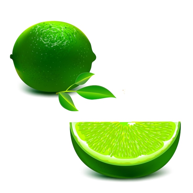 Groene citroen illustratie