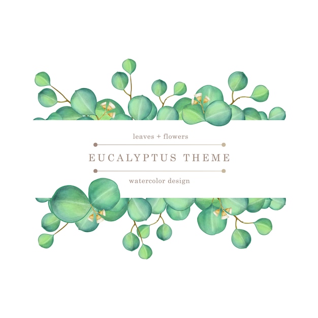 Groene eucalyptus aquarel illustratie