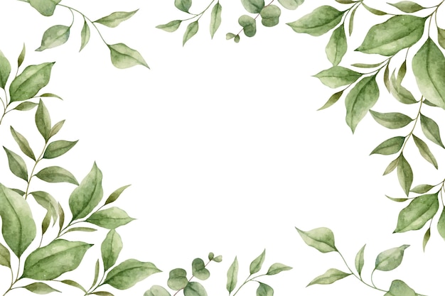 Vector groene eucalyptus bladeren aquarel bloemen frame