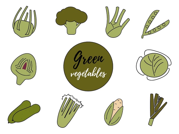 Groene groenten platte vectorillustratie lijn overzicht kleur pictogram voor web app minimalistische stijl