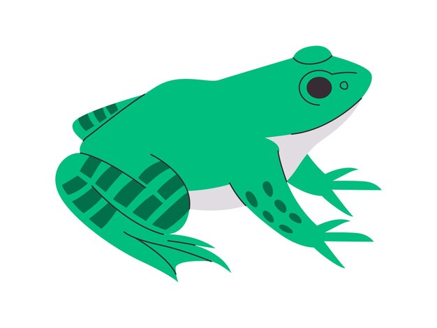 groene kleur kikker omgeving wilde natuur amfibie kleverig klein wezen dier en slijmerige huid
