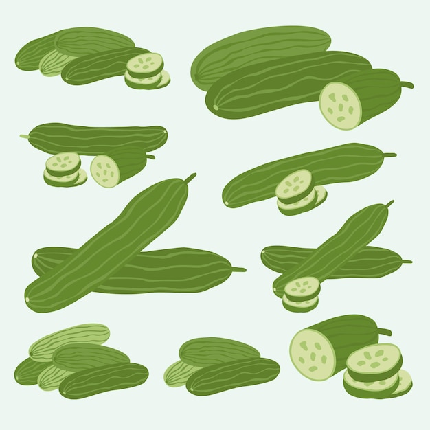 Groene Komkommer Collectie