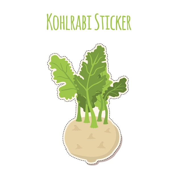 Groene koolrabi sticker