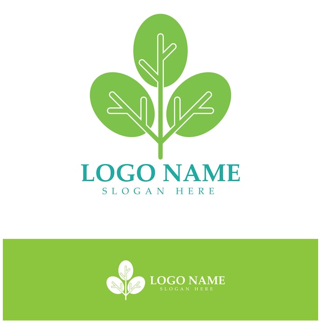 Groene moringa blad logo voor kruiden ingrediënten moringa landbouw gezondheid geneeskunde industrie schoonheid therapie concept vector illustratie pictogram ontwerpsjabloon met een modern concept