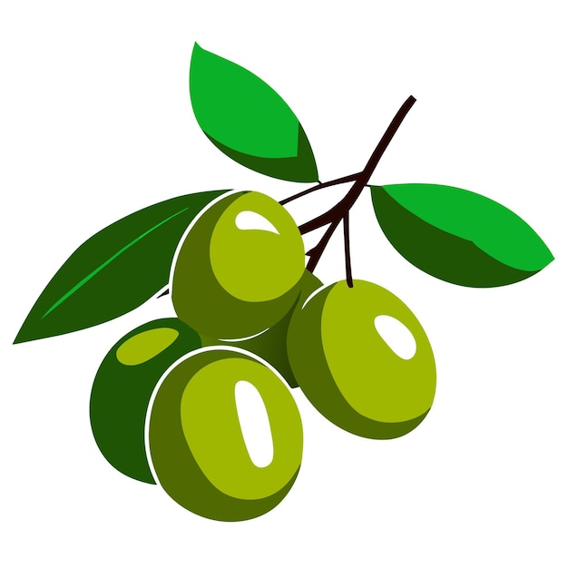 Groene olijven met bladeren vector illustratie