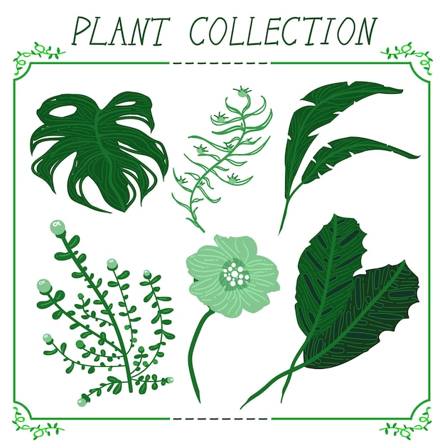 Groene plant hand tekenen collectie Vector illustratie