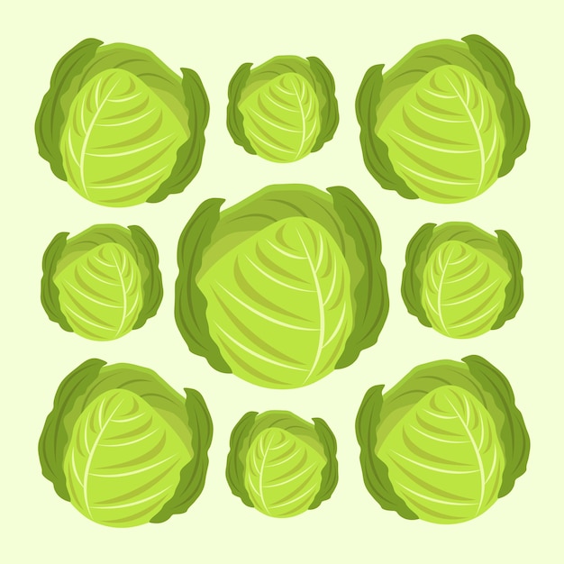 Groene plantaardige kool vectorillustratie