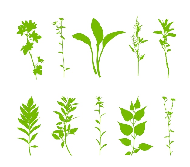 Groene planten silhouet set geïsoleerd op een witte achtergrond vector illustratie