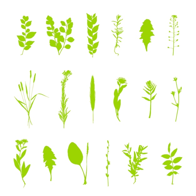 Groene planten silhouet set geïsoleerd op witte achtergrond vector