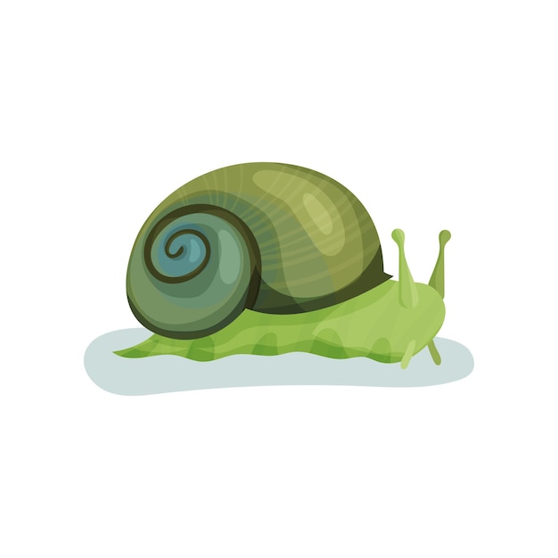 Groene slak buikpotige weekdier met groene schelp vector illustratie op een witte background