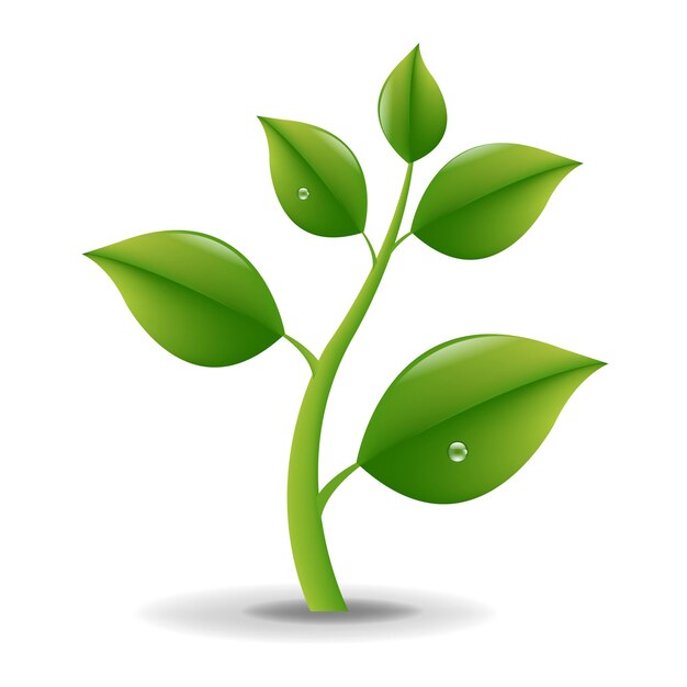 Groene Spruit Met Waterdruppel