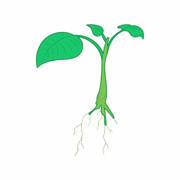 Groene spruit pictogram in cartoon stijl op een witte achtergrond