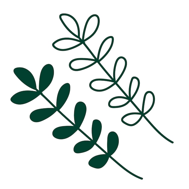 Groene takken met bladeren hand getrokken vectorillustratie.