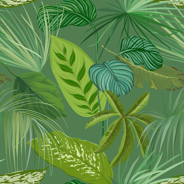 Groene tropische bladeren en takken naadloze patroon, botanische achtergrond. realistische spathiphyllum cannifolium papier of textiel print, regenwoud decoratief behang ornament. vectorillustratie