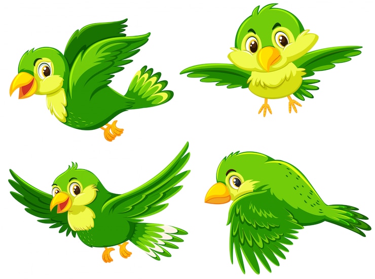 Vector groene vogel met verschillende actie